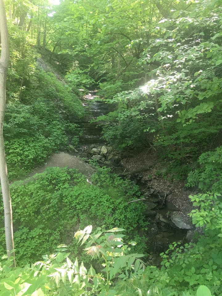 An example of the scenery that can be seen along the Montour Trail