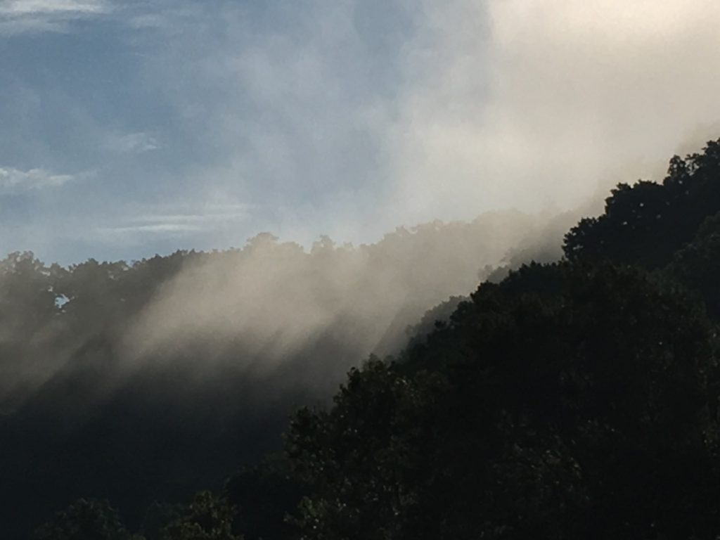 Fog in the Mountains of SE Kentucky near Whitesburg