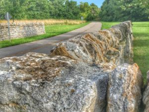 One of the scenes of Lexington's Legacy Trail including the iconic stone walls that line the entire Bluegrass area.