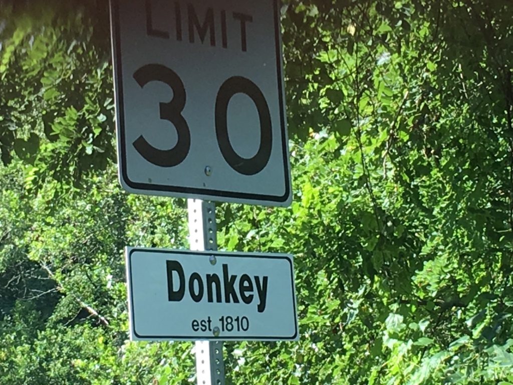 Saw this on Business 23 as we entered into Pound, VA. Tried to find a town named Donkey in VA, but couldn't find anything. Oh well...you have a photo of the sign
