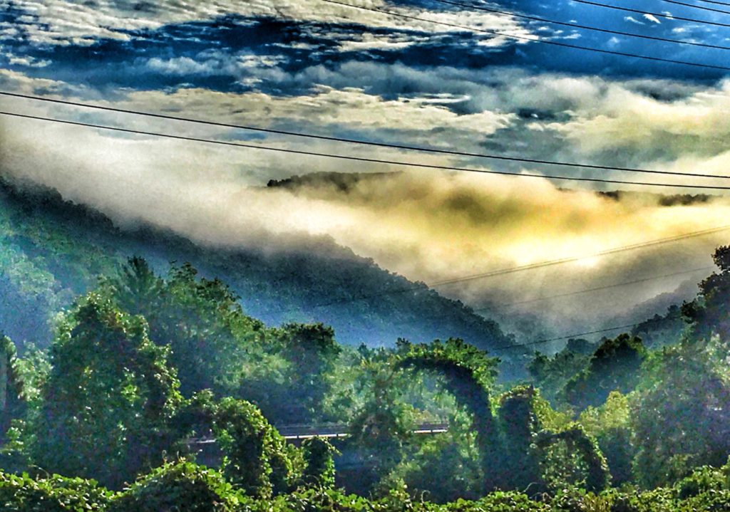 Fog in the Mountains south of Hazard, KY. The vegetation is covered with kudzu