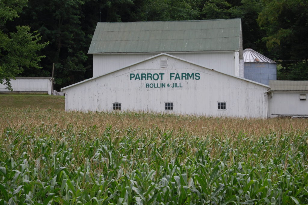 Parrot Farms surrounding by large corn fields