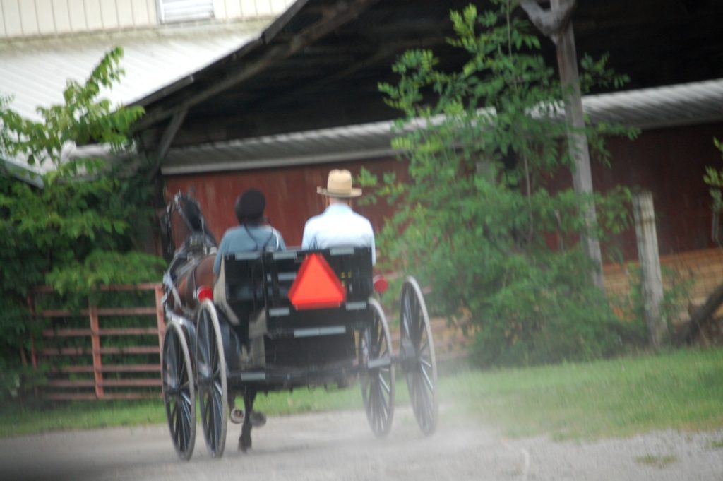 Amish Buggy on Mohican Valley Trail near Danville, OH